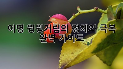 👂 이명, 윙윙거림의 정체와 극복 완벽 가이드 🧘‍♀️