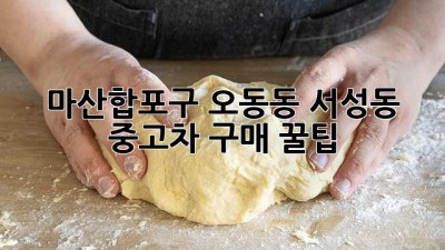 마산합포구 오동동, 서성동 중고차 구매 꿀팁! 🚗✨